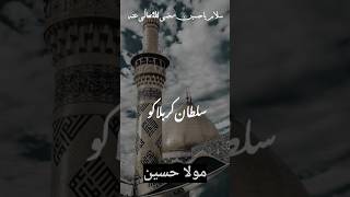 Sultan e Karbala  trending youtubeshorts youtube ytshorts whatsappstatus viral shorts [upl. by Ymorej]