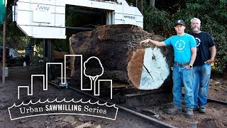 Urban Sawmilling Series Hunski Hardwoods  WoodMizer [upl. by Vicki258]