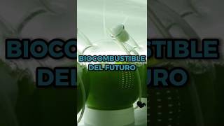 BIOCOMBUSTIBLES de ALGAS Una ALTERNATIVA a los COMBUSTIBLES FÓSILES [upl. by Eizzo]