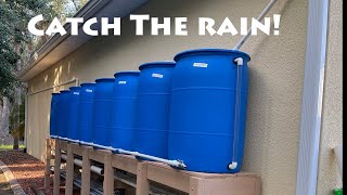 8 Barrel DYI Rain Catchment System [upl. by Maidy]