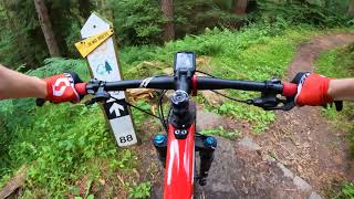 Dalby Forest World Cup Black Route  Best Bits [upl. by Mccully]