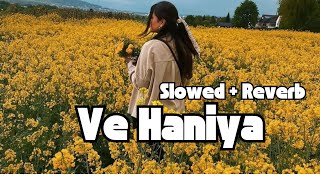 Ve Haniya  Full Audio Song  Danny  Ravi Dubey  Sargun Mehta  New Song [upl. by Tobi394]