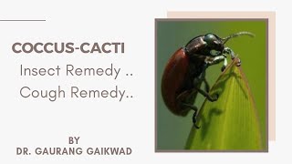 Coccus Cacti Insect Remedy Cough Remedy by Dr Gaurang Gaikwad [upl. by Veedis794]