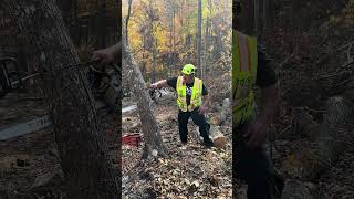 Enormous Man Fells Tree with Handsaw and Saves His Idiot Friends Hurricane Helene treefelling [upl. by Lyrahc313]