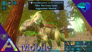 MAX LEVEL PACHYRHINO TAMING ATTACK SPEED AND SMOKESCREEN ARK Mobile S1E52 [upl. by Gilbertina]