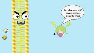 Facilitated Diffusion Explained [upl. by Devinna]