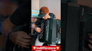 Indifférence  neo jazz accordion [upl. by Molohs]