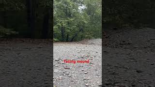 Tailing mound in Central MD dayhikingandherpingdudes [upl. by Arikat457]