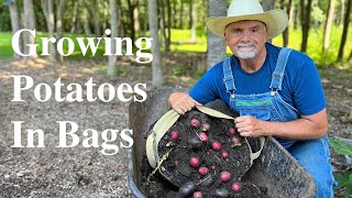 Planting Potatoes in Growbags [upl. by Lane60]