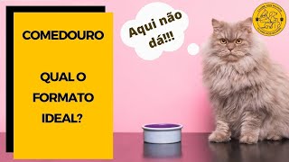 Comedouro para gatos QUAL O FORMATO MAIS ADEQUADO [upl. by Jo-Anne213]