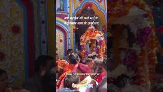 जय श्री केदार 🙏 trending shorts kedarnath youtube जय भोलेनाथ 🙏बाबा केदारनाथ [upl. by Safko]