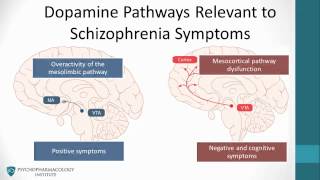 Psychopharmacology Antipsychotics amp The Dopamine Hypothesis [upl. by Zanahs]