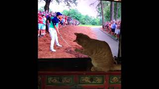 Jordan Spieth and Cat Caddie [upl. by Hirschfeld]