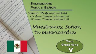 salmo responsorial 84 XIX domingo Ordinario A XV dom ordinario B lecc Mex modo gregoriano [upl. by Ardnekahs]