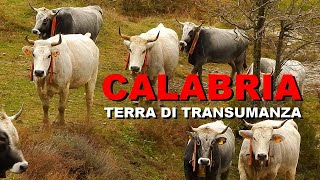 Calabria Terra di Transumanza Comune di Campana CS  Sila Greca  Calabria [upl. by Jennine]