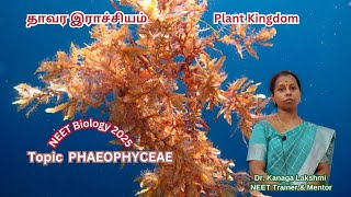 நீட் உயிரியல் தமிழில் விளக்கம் 2025  Topic PHAEOPHYCEAE [upl. by Eilyak438]