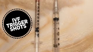 IVF Trigger Shot  Lupron amp HCG [upl. by Attolrahc913]