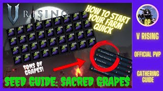 🍇Tons of Sacred Grapes🍇 Must Know Tips amp Tricks V Rising Seed Guide [upl. by Ecadnac]