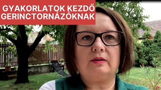 Kezdő gerinctornázók milyen gyakorlatokat végezzenek [upl. by Ahsenav]