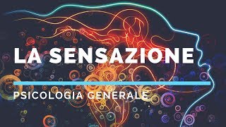 Che cosè la sensazione psicologia generale [upl. by Erkan876]