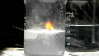 Sodium Reacts with Water [upl. by Nahgeem414]