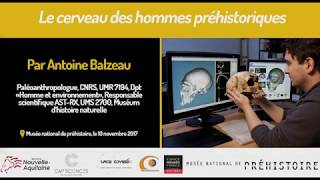 Conférence quotLe cerveau des hommes préhistoriquesquot  par Antoine Balzeau [upl. by Irisa]