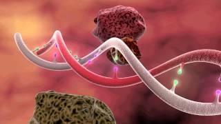 DNA Mutation 3D Animation [upl. by Any893]