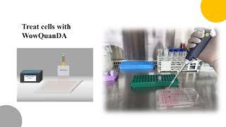 Wow QuanDA cell prolfieration Cytotoxicity Kit [upl. by Eelhsa]