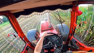 Cab View  Case IH 1455 XL  Mais Silage [upl. by Rengia]