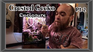 Bioactive Crested Gecko Enclosure Pt2 [upl. by Joel]