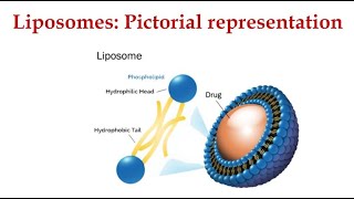 Liposomes I Organic Nanomaterials I Nanobiotechnology [upl. by Leen974]