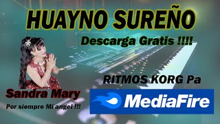 DESCARGA HUAYNO SUREÑO RITMOS KORG GRATIS MEDIAFIRE [upl. by Ailices]