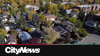 Province to blame for property tax increase Calgary mayor [upl. by Anits]