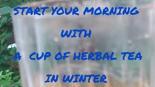 winter with herbal tea [upl. by Reynolds]