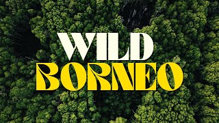 WILD BORNEO  Jungle Safari River Cruise in Borneo  4K CINEMATIC [upl. by Howell]