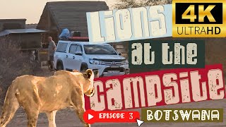 Lions surprise campers with a visit  Season 3 Episode 3  Botswana  4k [upl. by Ilagam]