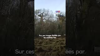 Campés dans les arbres les opposants à lA69 ToulouseCastres encerclés par les forces de lordre [upl. by Colet]