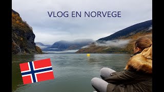 Voyage en Norvège  DOslo à Bergen en passant par les Fjords [upl. by Names]