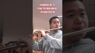 Dvorak Symphony Nr 9 Largo Flute dvořák symphony classicalmusic flute flutemusic [upl. by Ashatan789]