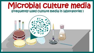 Bacterial culture media classification and types of bacterial media  enriched amp differential media [upl. by Argile]