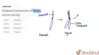 Poleward movement of dyads occurs during [upl. by Damal]