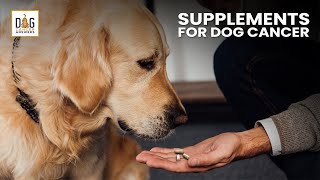 Supplements for Dogs with Cancer  Dr Demian Dressler Deep Dive [upl. by Varien]