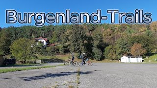 BurgenlandTrails  DJI Neo MTB test [upl. by Mcnamara]