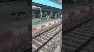 12779 Goa Express Arriving Announcement and Departure at HARDA [upl. by Ycak678]