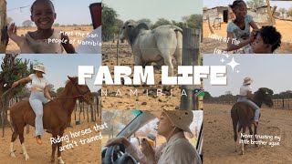 Farm Vlog MEET THE SAN PEOPLE OF NAMIBIA🇳🇦  travel with me  Cooking  horse riding amp MORE [upl. by Seessel]