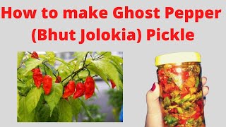 How to make Ghost Pepper Bhut Jolokia pickle in Assamese  ভোট জলকীয়া আচাৰ  Swadish Khana Assam [upl. by Assillem]