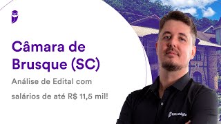 Câmara de Brusque SC Análise de Edital com salários de até R 115 mil [upl. by Joappa]