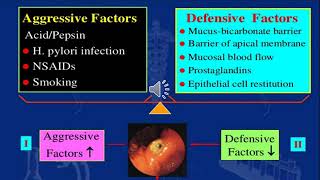 Peptic ulcer amp Antiemetics  Pharmacology 1  Gastrointestinal system [upl. by Llenrrad]