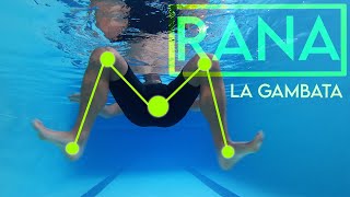 Corso di Nuoto  Lezione 12  RANA La gambata GIANNI BARBERINO [upl. by Nomor889]