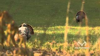 Extreme CloseUp Alabama Turkey Hunt [upl. by Itsyrc]